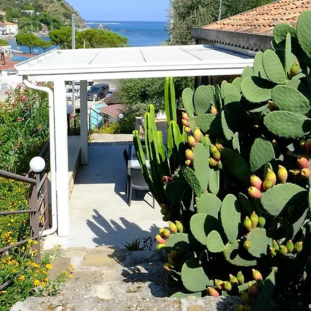 بيت للعطل La Casa Dei Due Ulivi *